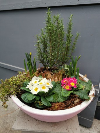 Spring Garden