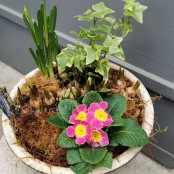 Small Spring Wok